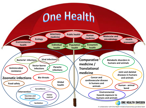 One Health Umbrella created by and courtesy of One Health Sweden: Humans, Animals, Environment in collaboration: in collaboration: with One Health Initiative Autonomous pro bono Team